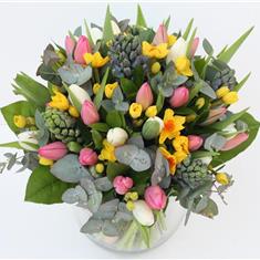 Spring Delights