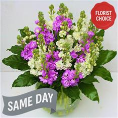 Florist Choice Same Day Bouquet